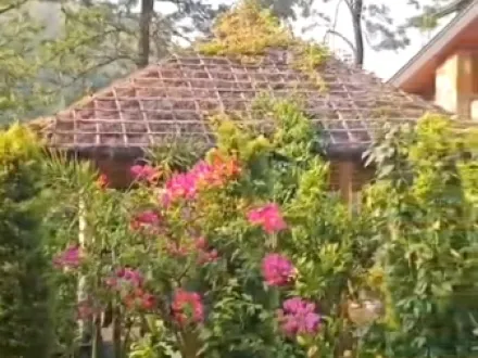 Sahastradhara Road, Dehradun