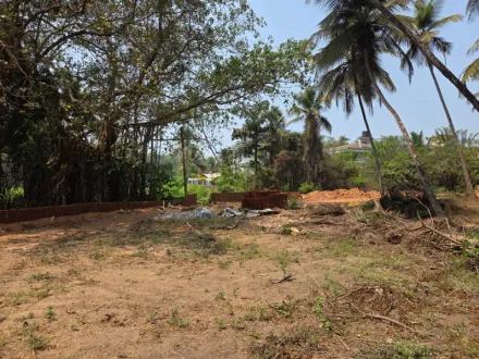 Colva, South Goa, Goa