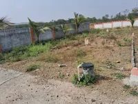 Pimple Gurav, Pune photo 2