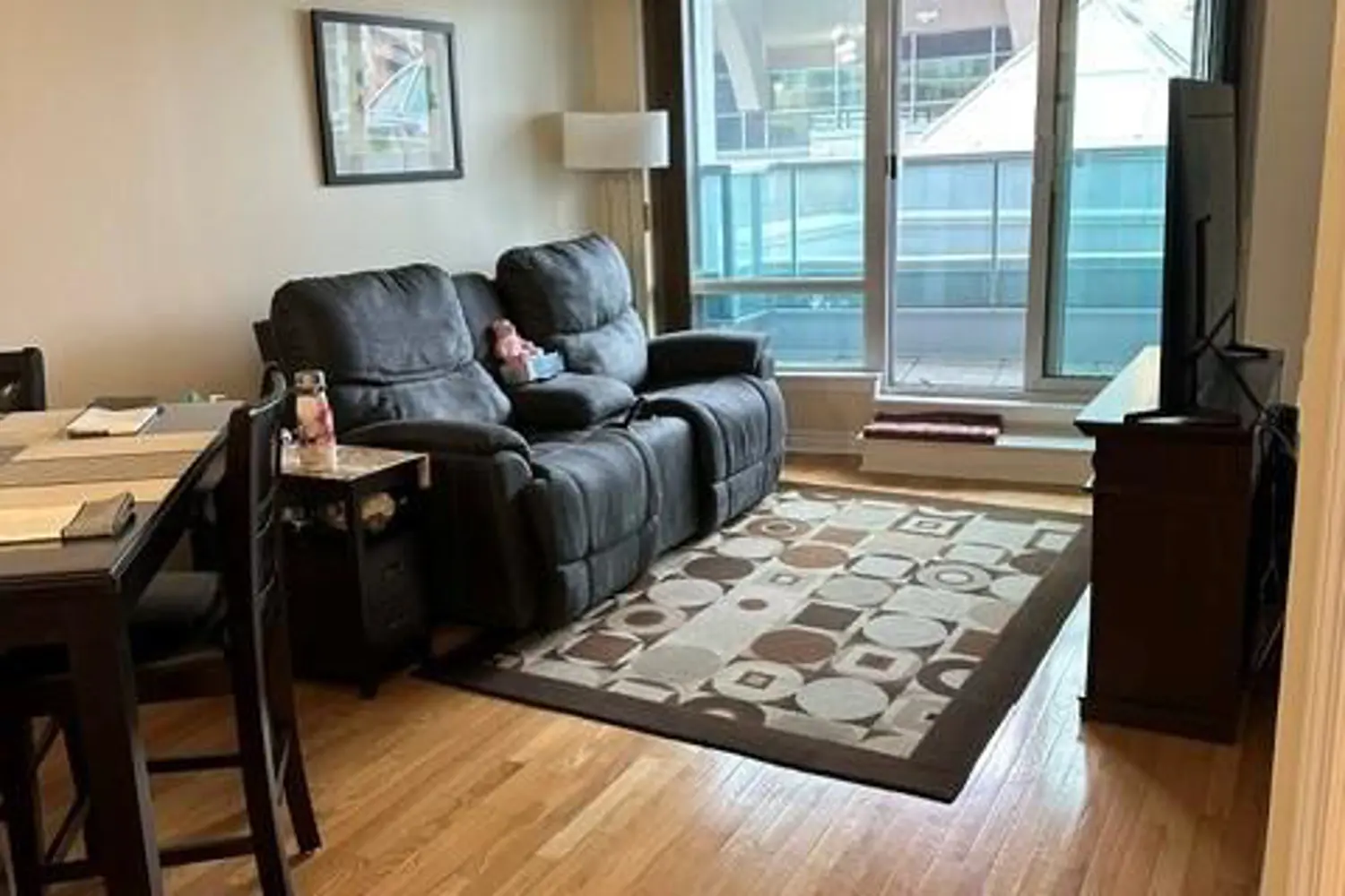 33 Elm Drive 310 photo 4