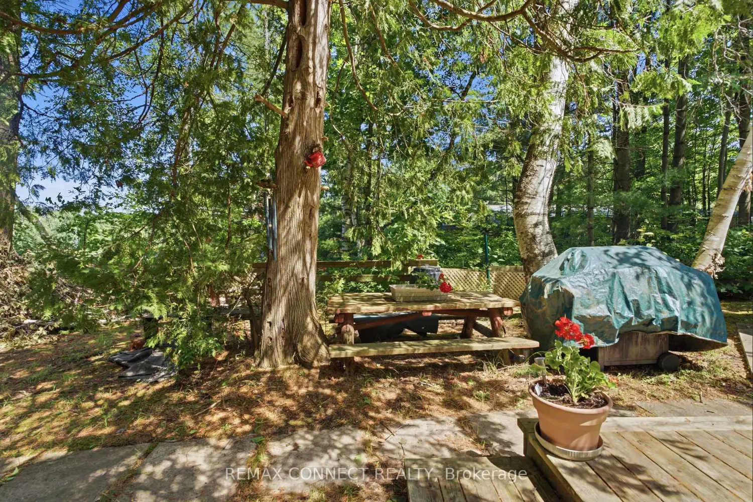 77 Stanley Road photo 5