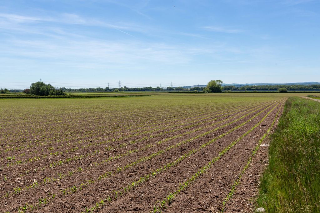 Land for salePuddington Lane, Puddington, Neston CH64