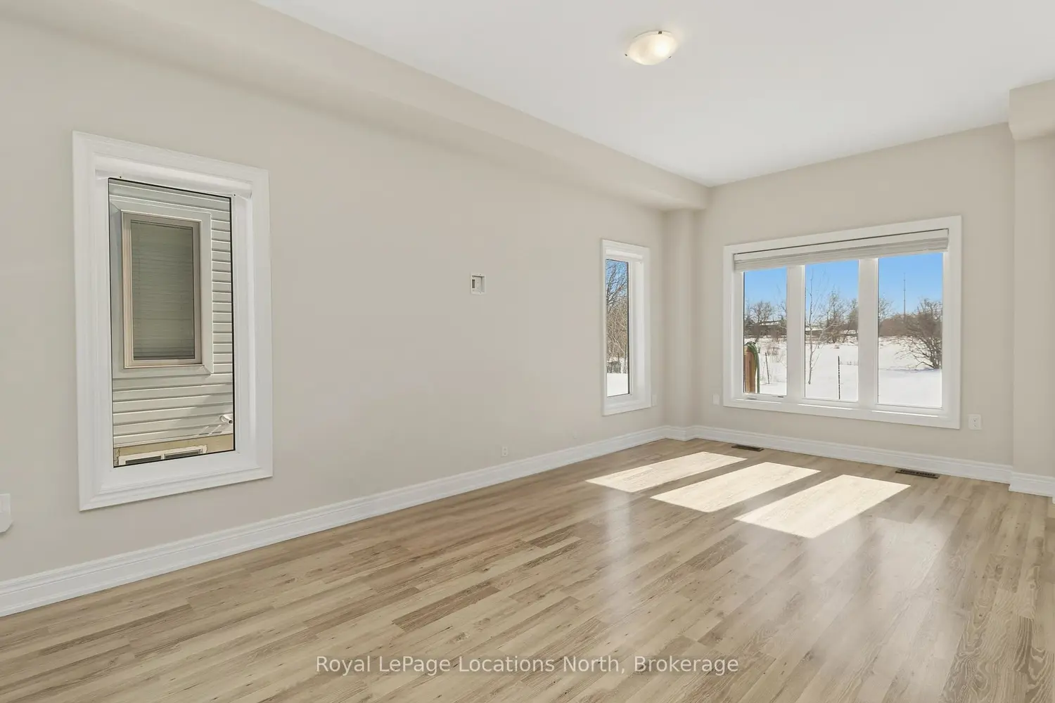 335 Atkinson Street photo 3