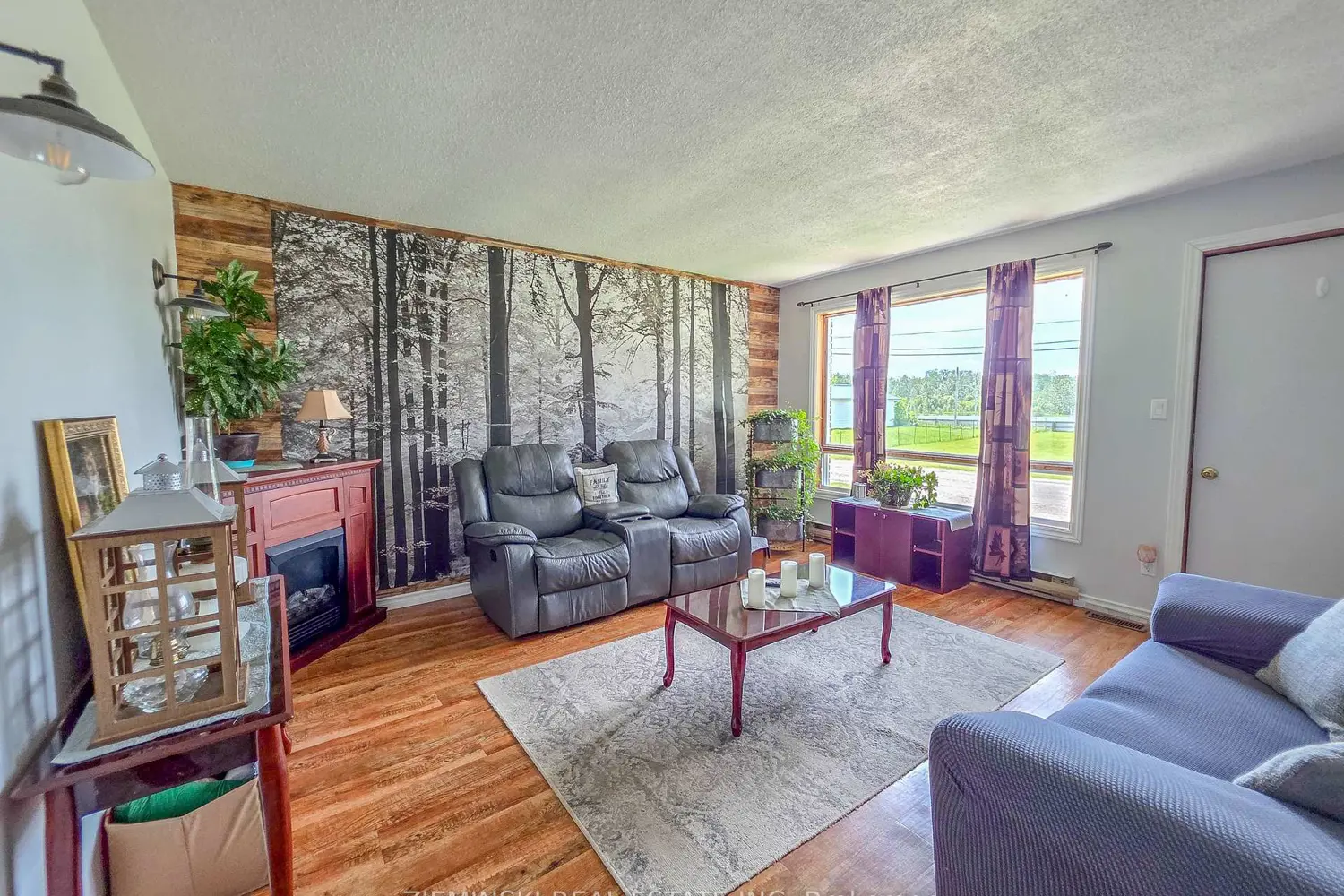 329 Timmins Avenue photo 5