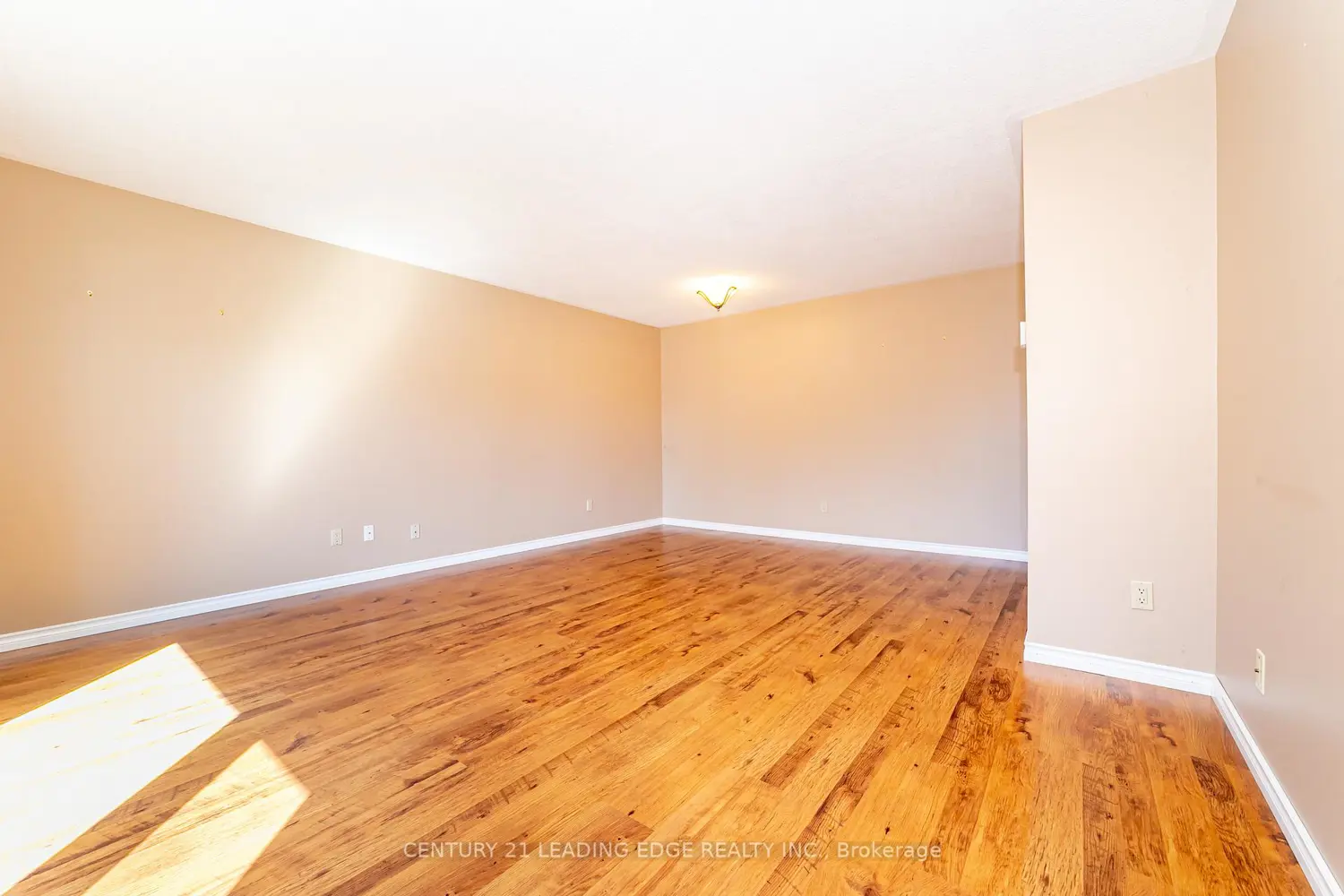 815 Douglas Avenue photo 3