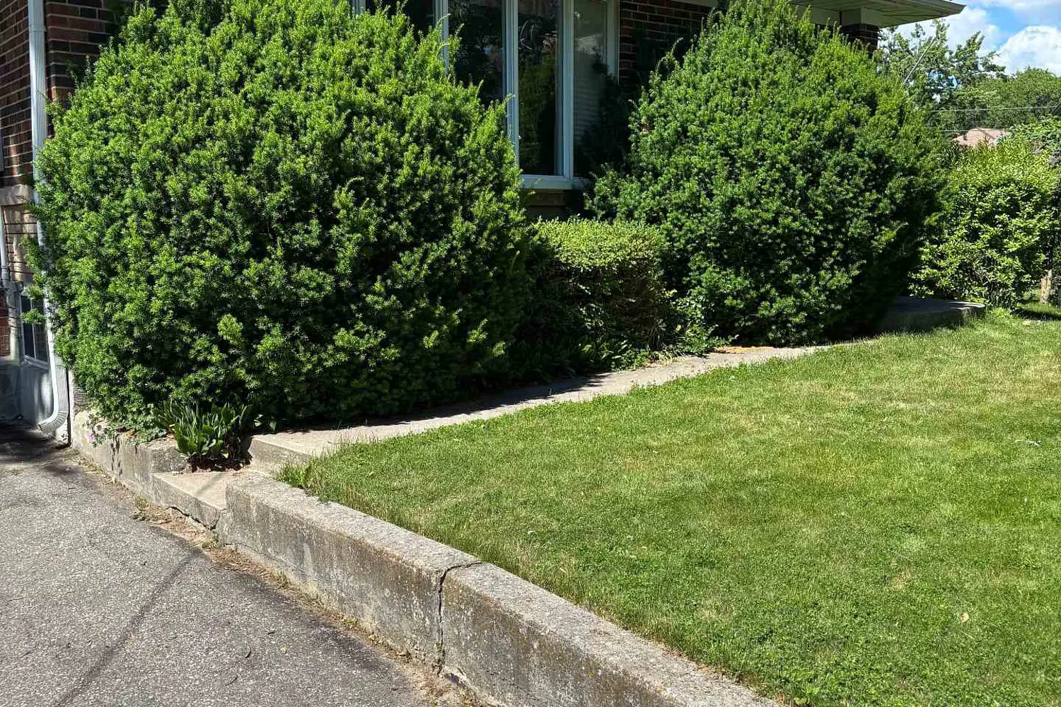 4 Winesap Place photo 4