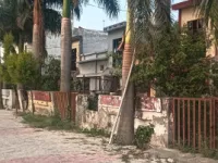 Patanjali Yogpeeth, Haridwar photo 3