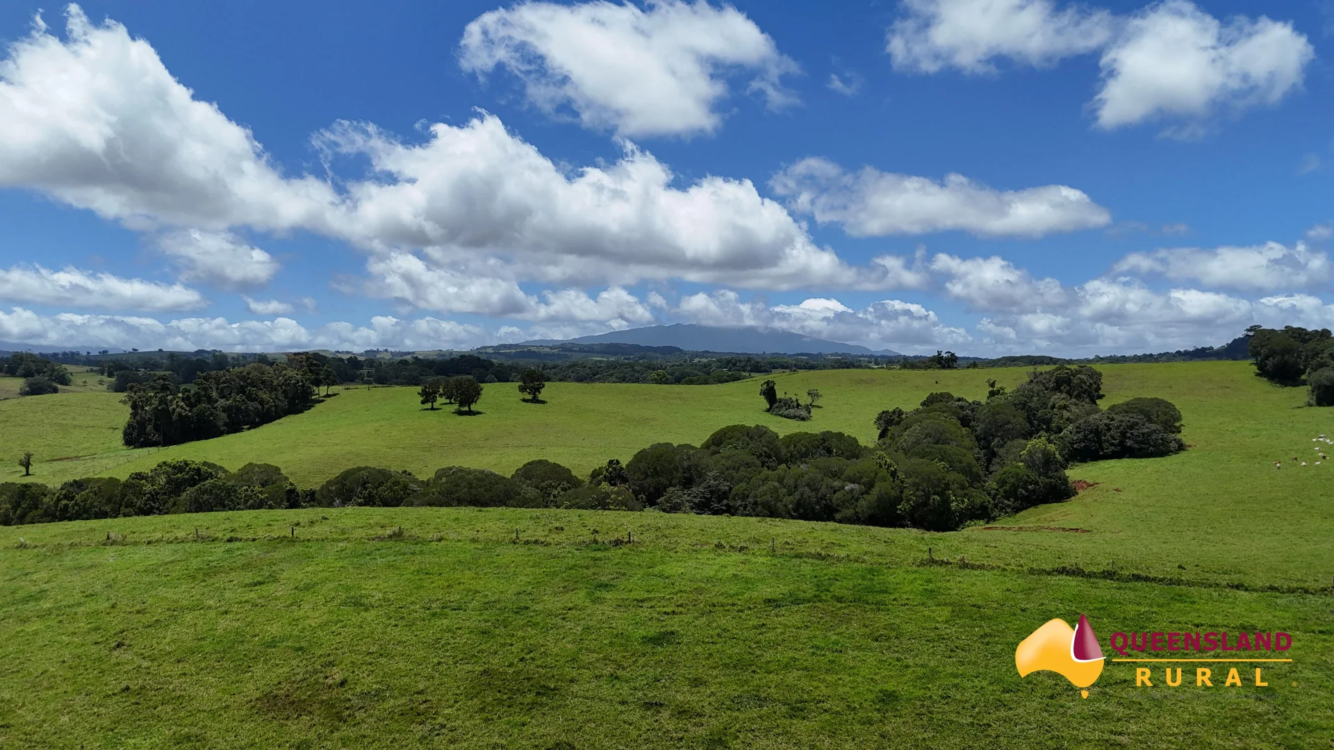 Malanda QLD 4885 photo 5