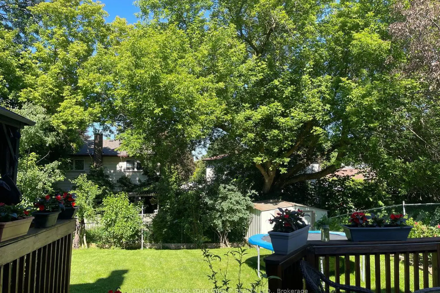 459 Sandford Street photo 2