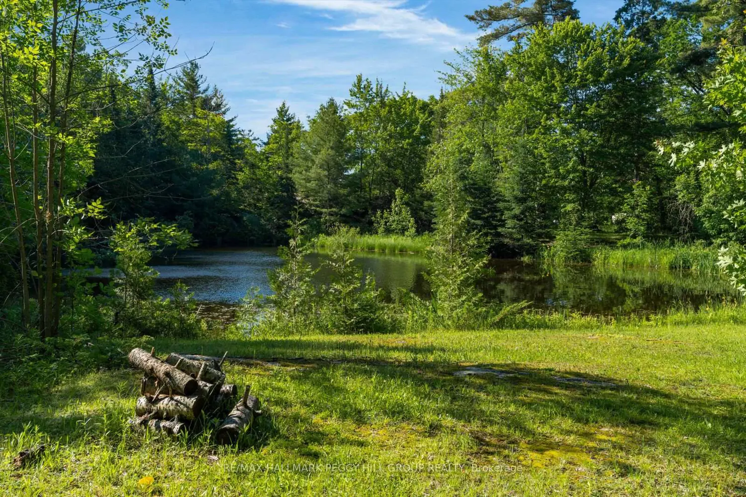 157 Baxter Loop Road photo 4