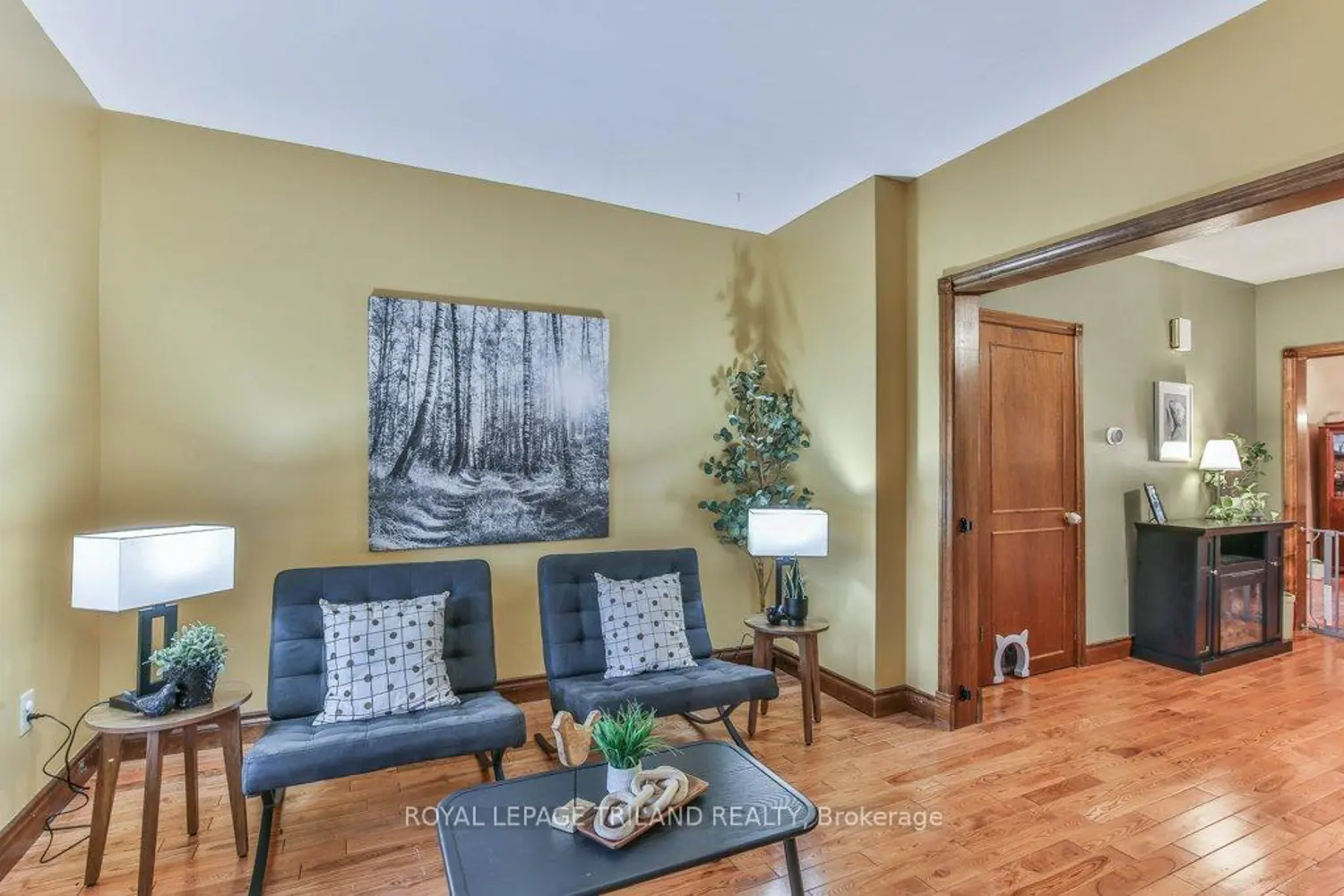 941 Queens Avenue photo 3