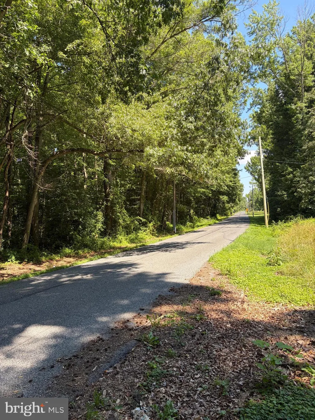 226 Black Stallion Road, Townsend, DE 19734