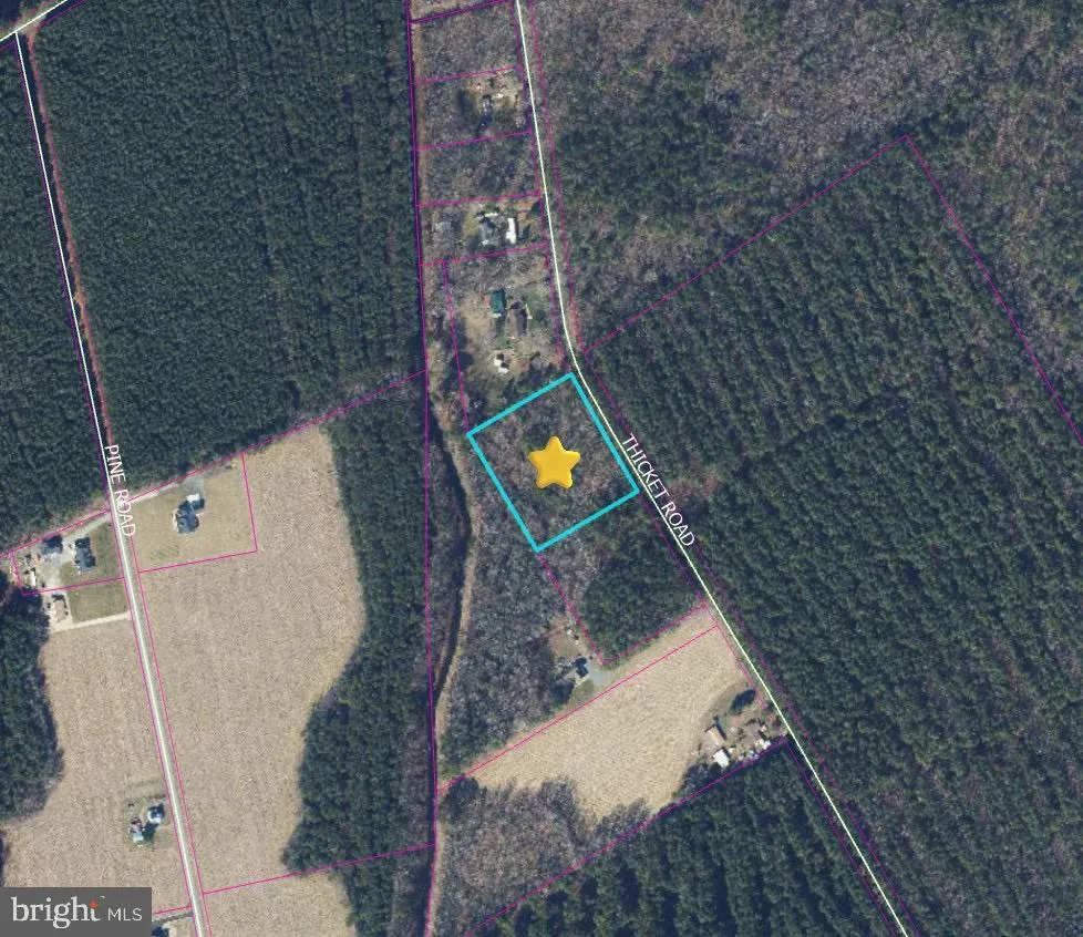 Thicket Rd, Milton, DE 19968 photo 5
