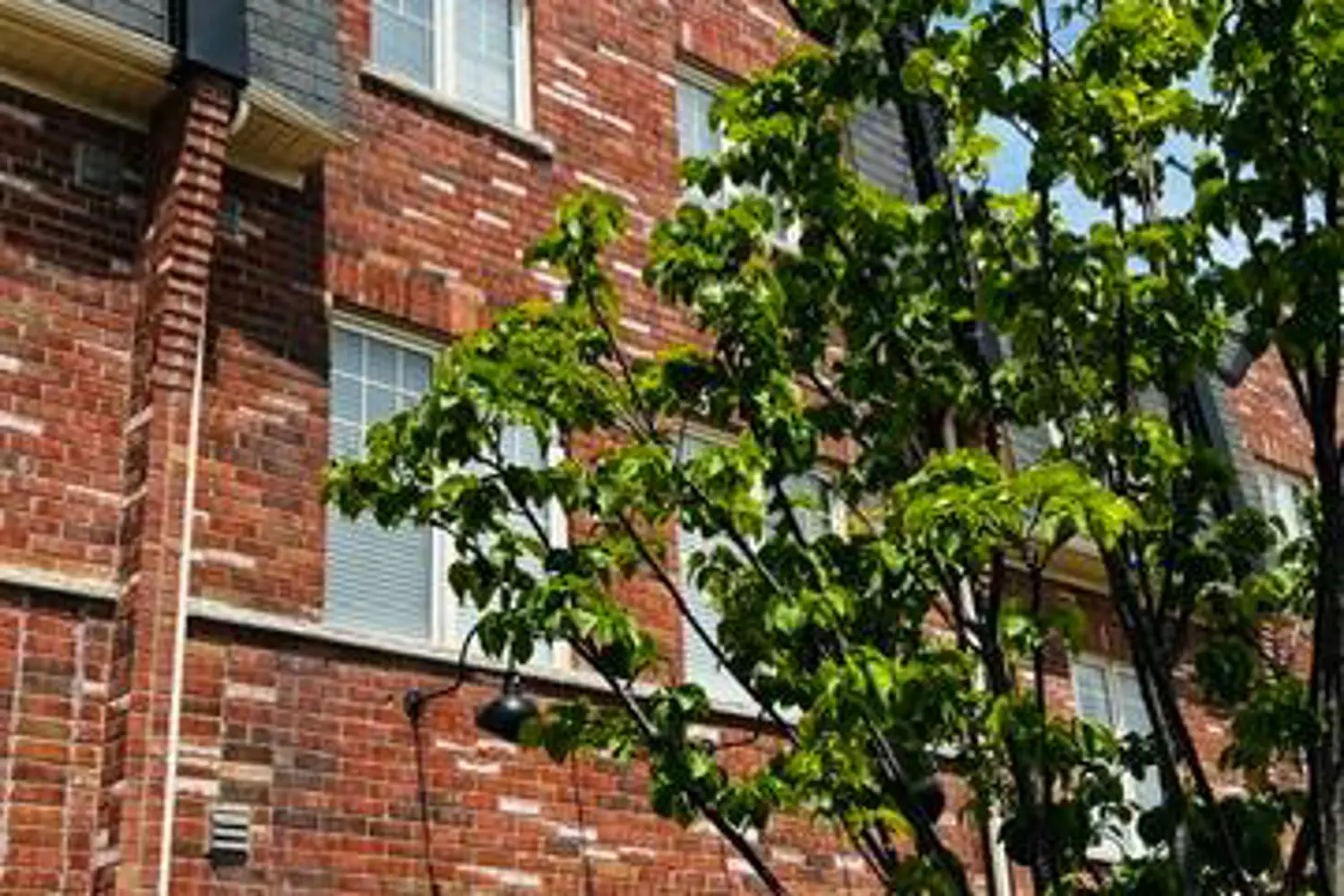140 Inspire Boulevard photo 2