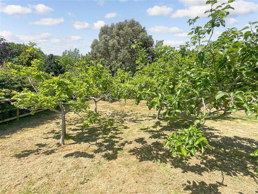 Land for saleBlackbridge Road, Freshwater, Isle Of Wight PO40