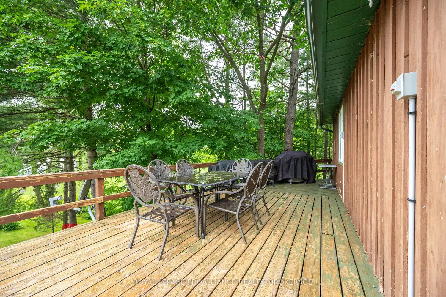 134 Black Rapids Road photo 4