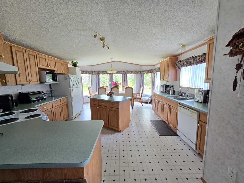40 Mobile Drive, Three Hills, AB, T0M2A0 photo 5