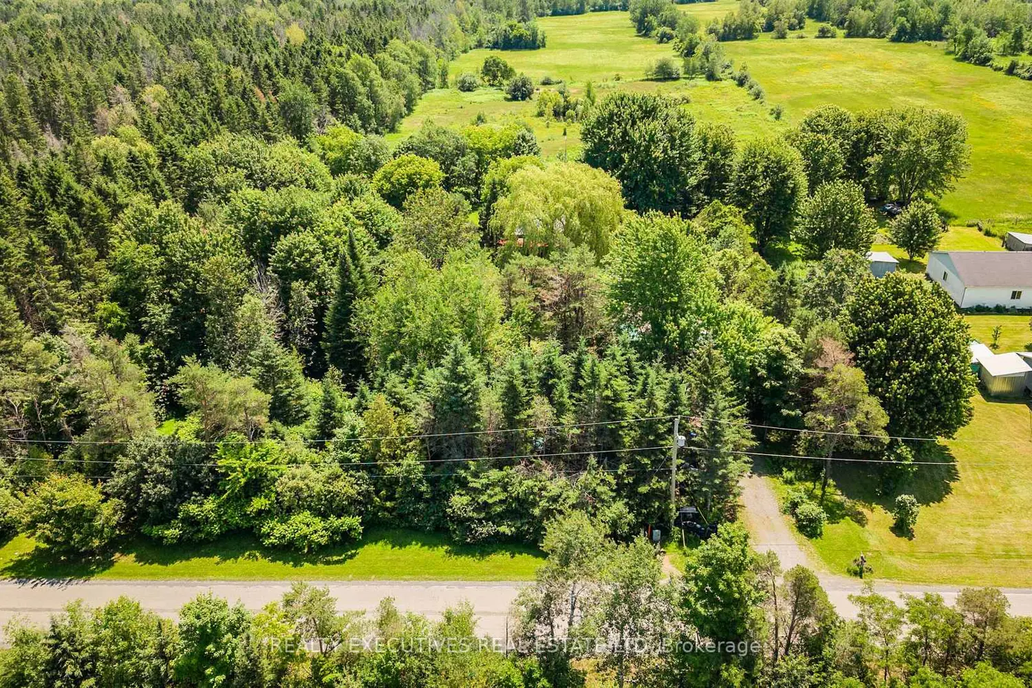10550 Hulbert Road photo 3