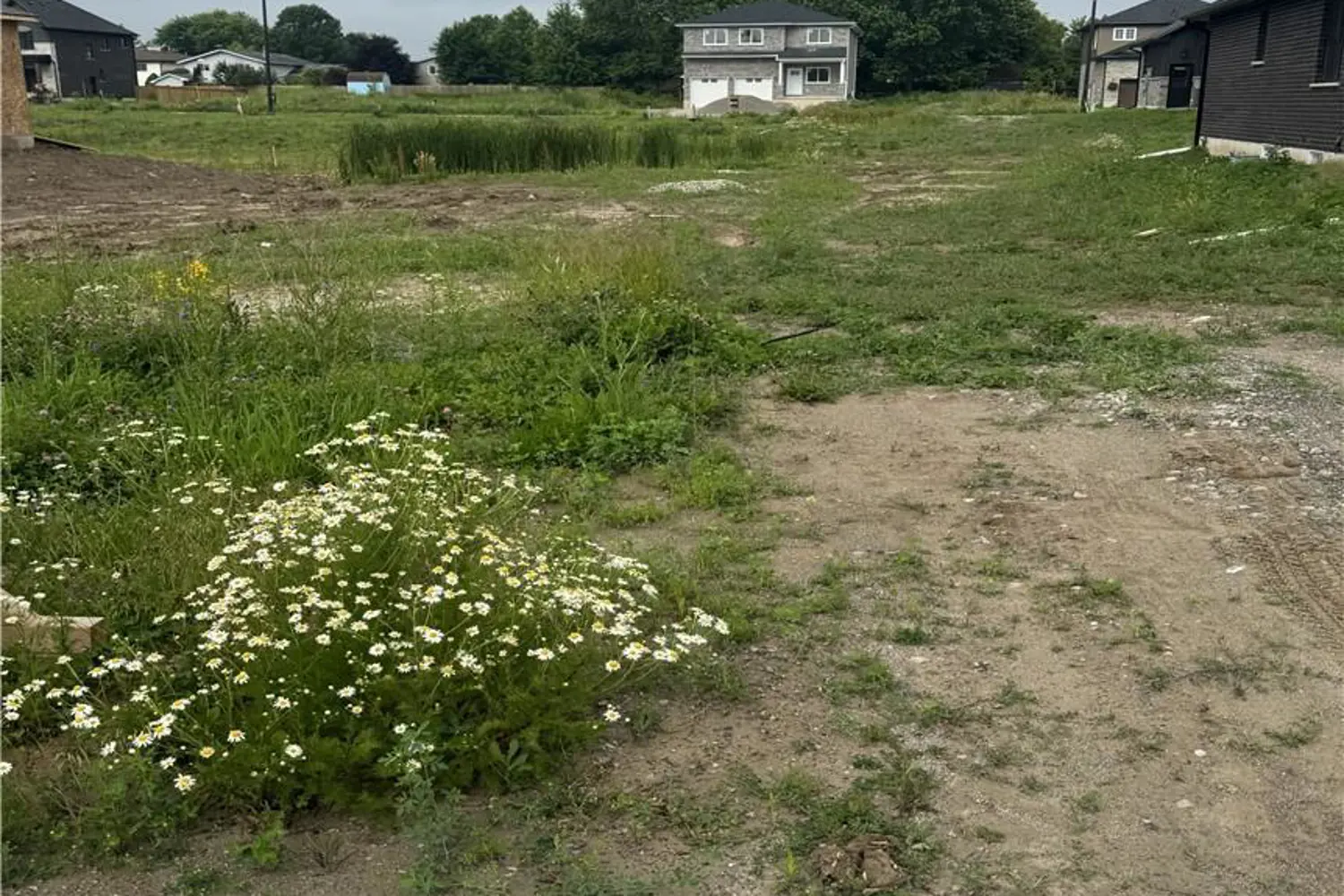 66 Pike Creek Drive photo 4