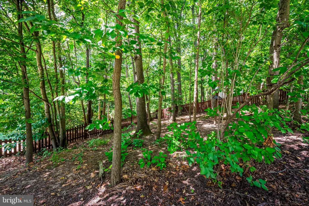 6242 Patuxent Quarter Road, Hanover, MD 21076