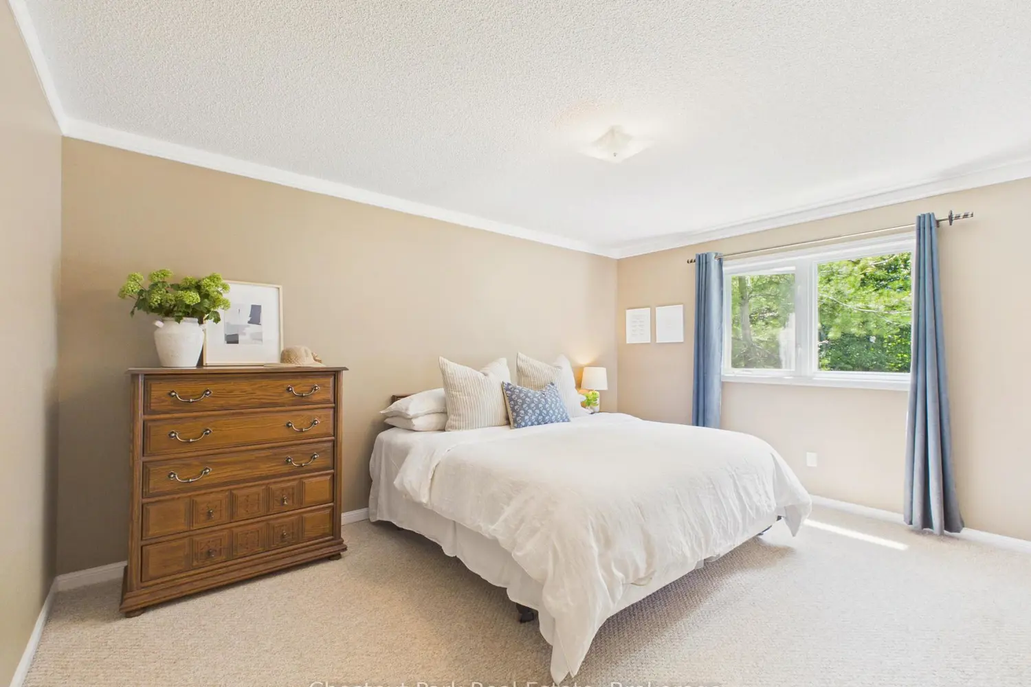 525 Lorne Street photo 4