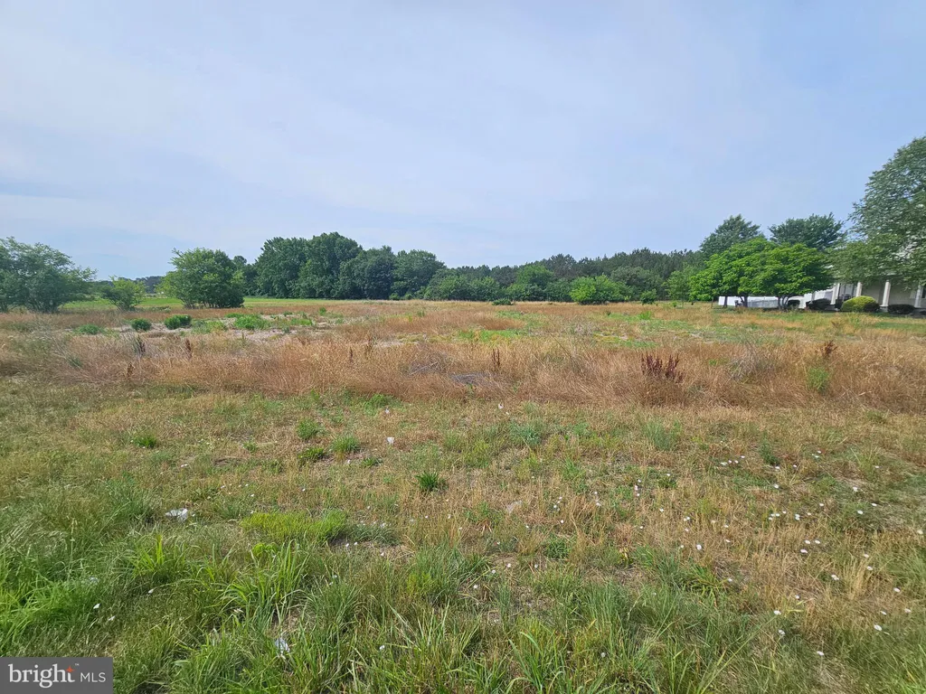 Johnnycake Landing Road, Frederica, DE 19946 photo 5
