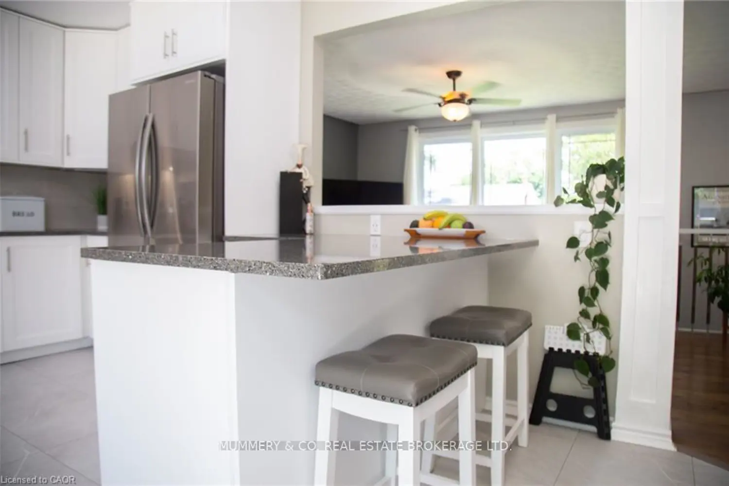 294 South Drive photo 5
