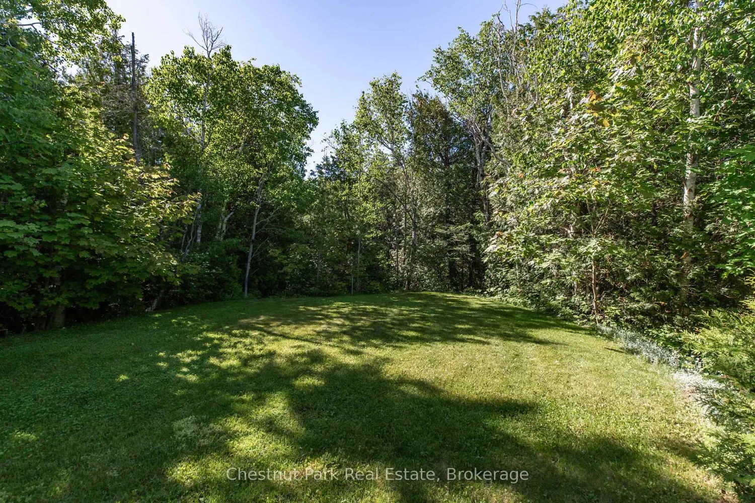 56 Zorra Drive photo 4