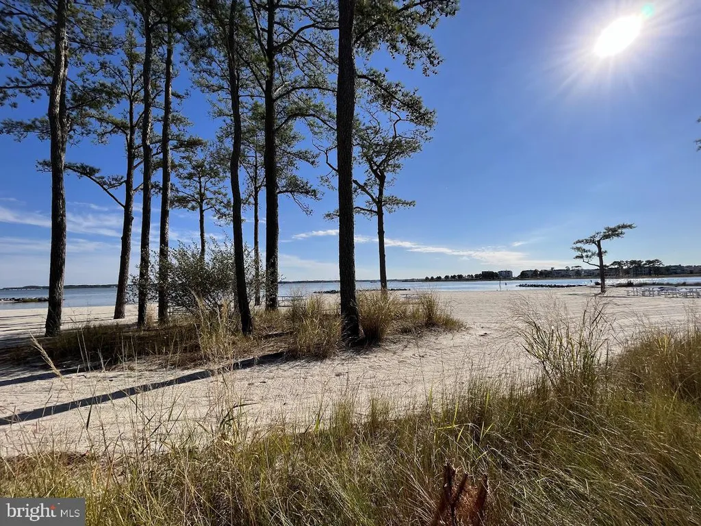 34728 Shroud Street Lot: E-586, Long Neck, DE 19966