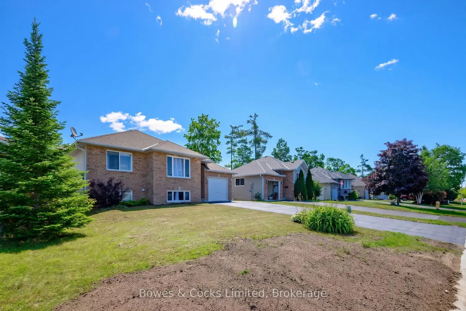 59 Birch Crescent photo 5