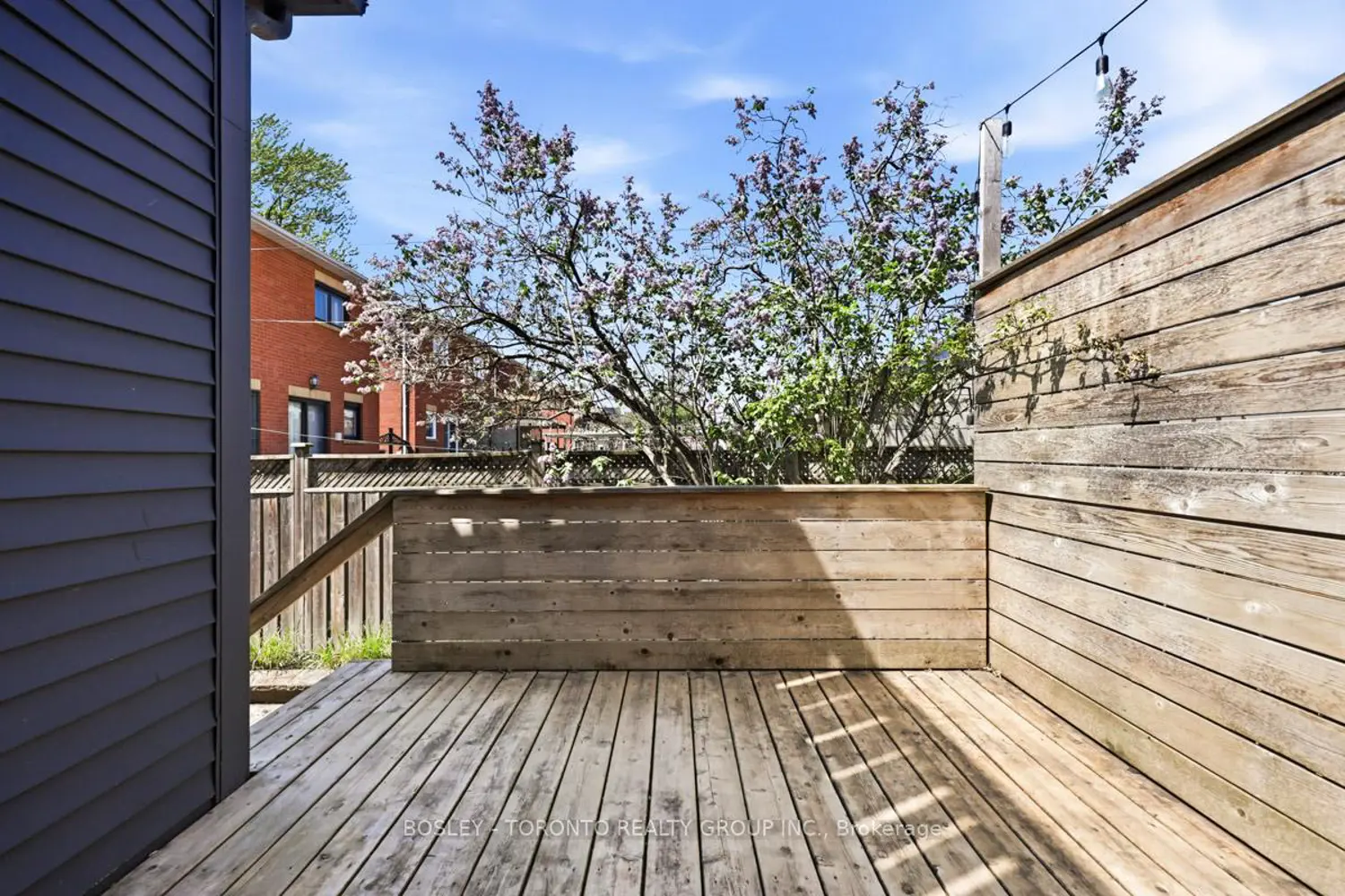 62 Hallam Street photo 5