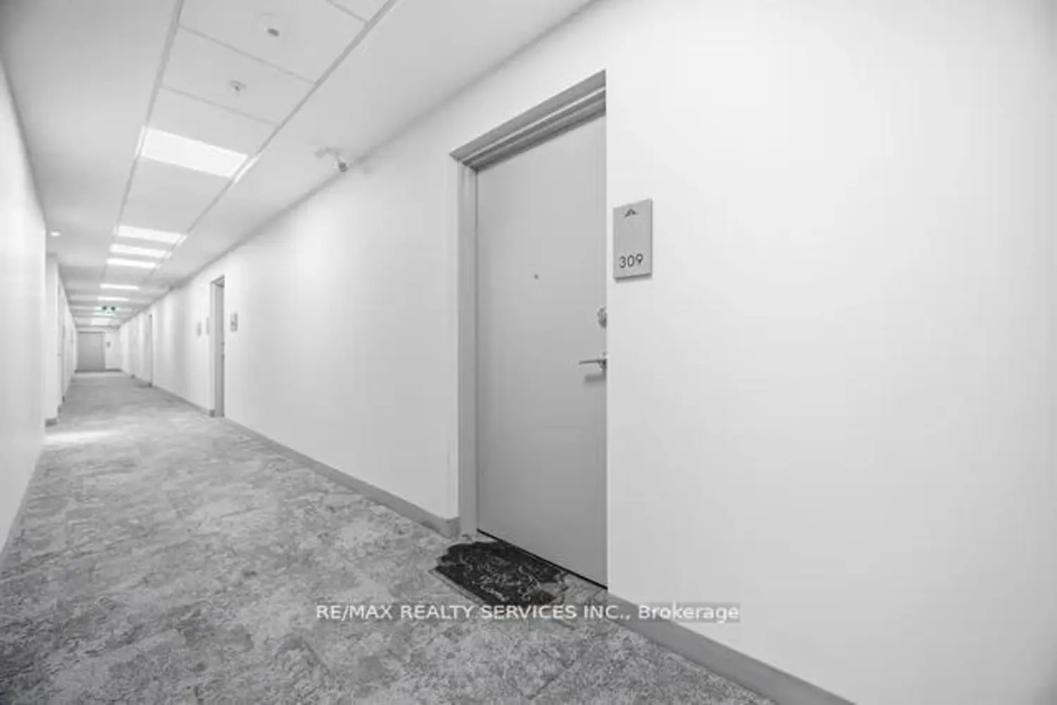 1101 Lackner Place 309 photo 4