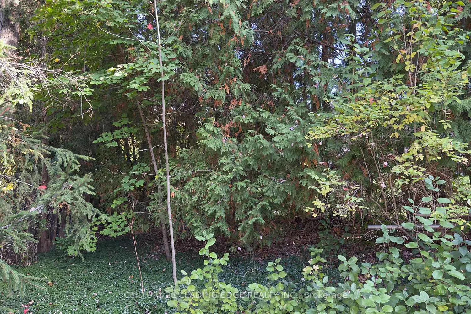 117 Westwood Lane photo 3