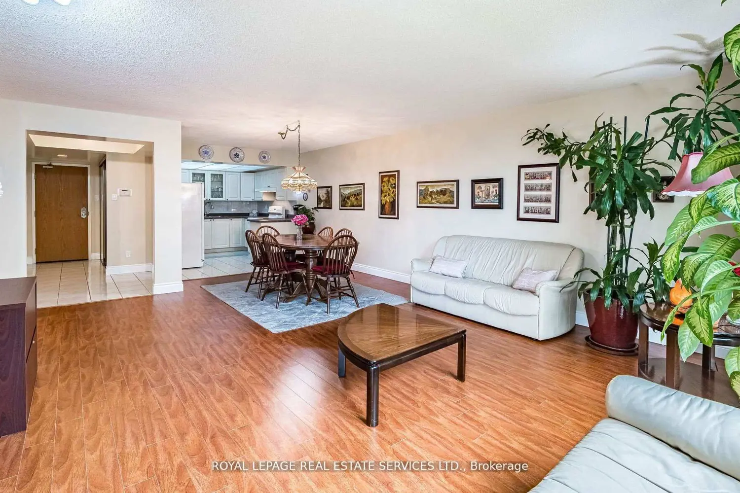 310 Mill Street 202 photo 2