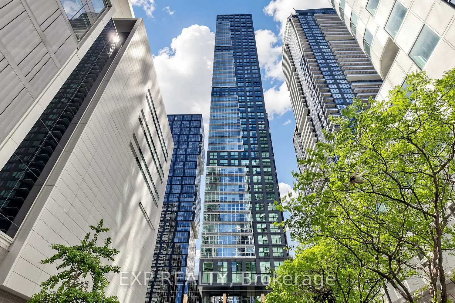327 King Street 601 photo 3
