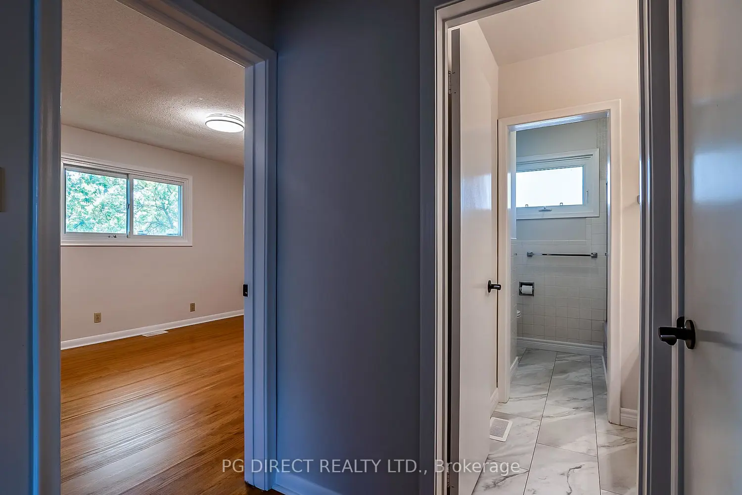 12 Belvedere Road photo 5