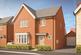 Plot 265, The Wixham at Kings Hill Park, Sanderling Gardens, Off Ashingdon Road SS4