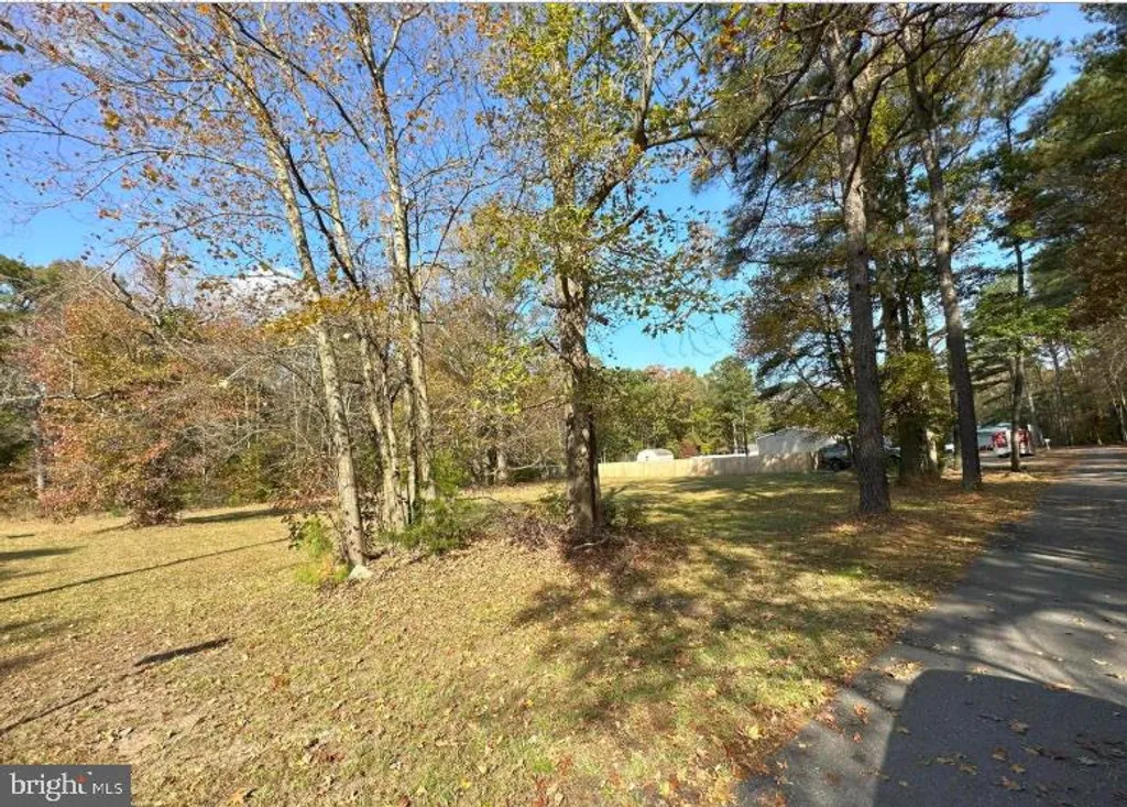 Mount Joy Road, Millsboro, DE 19966 photo 4