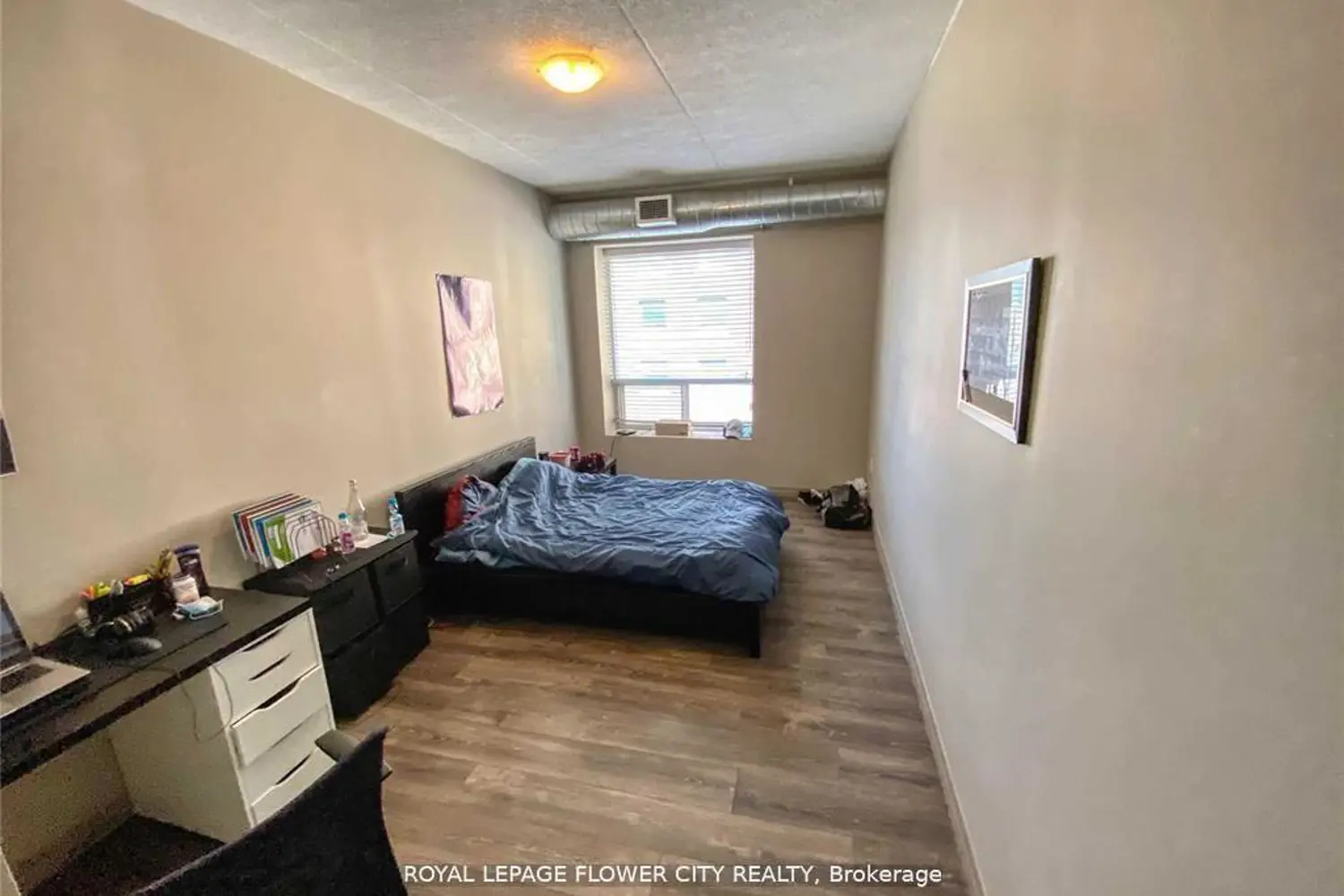 8 Hickory Street 703 photo 4
