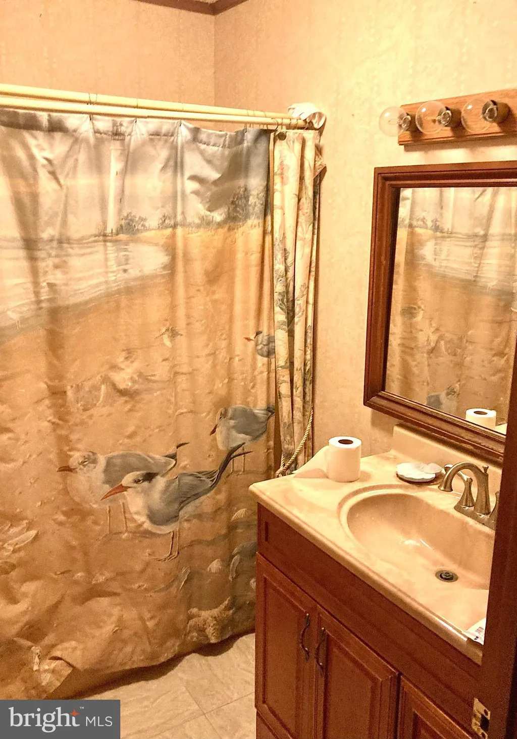 17562 Apple Tree Road, Bridgeville, DE 19933