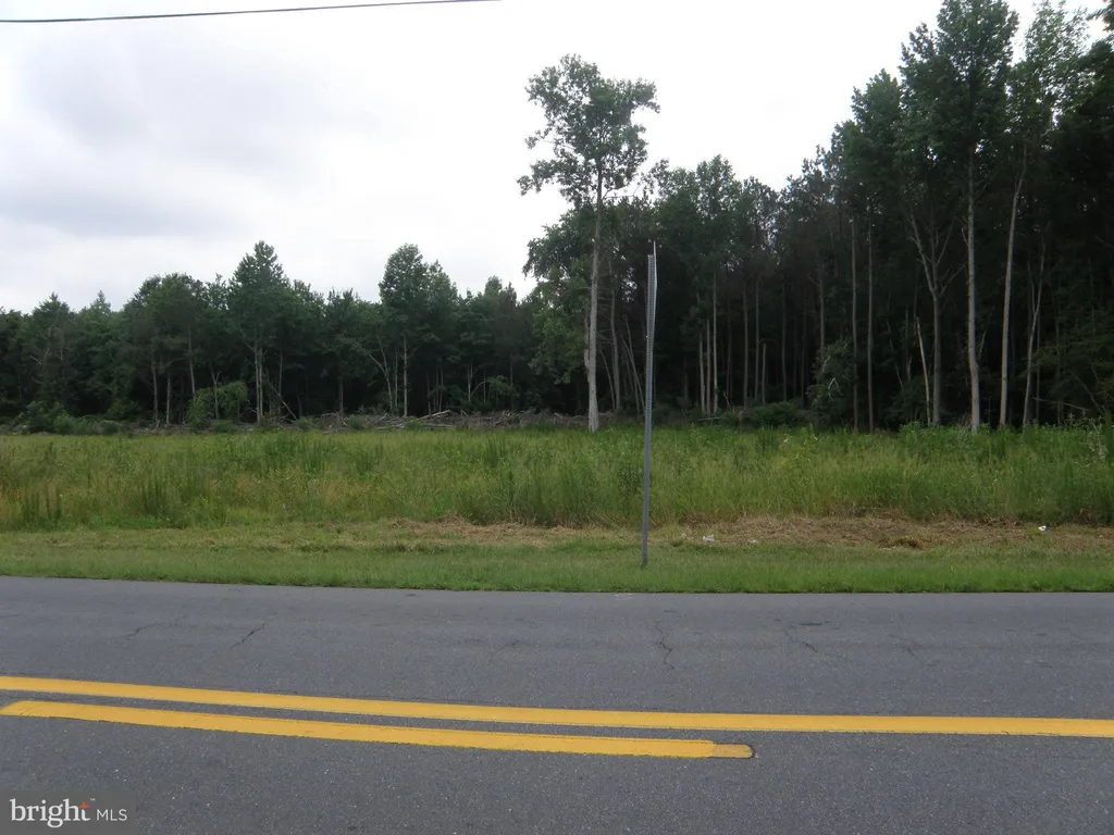 12540 N Union Church Road, Ellendale, DE 19941