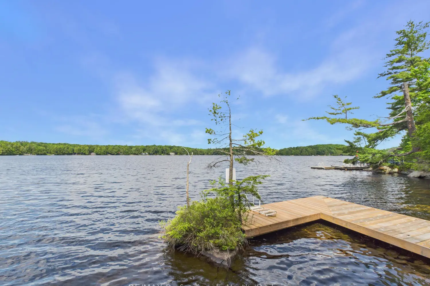 1007 Leech Lake Point Road photo 4