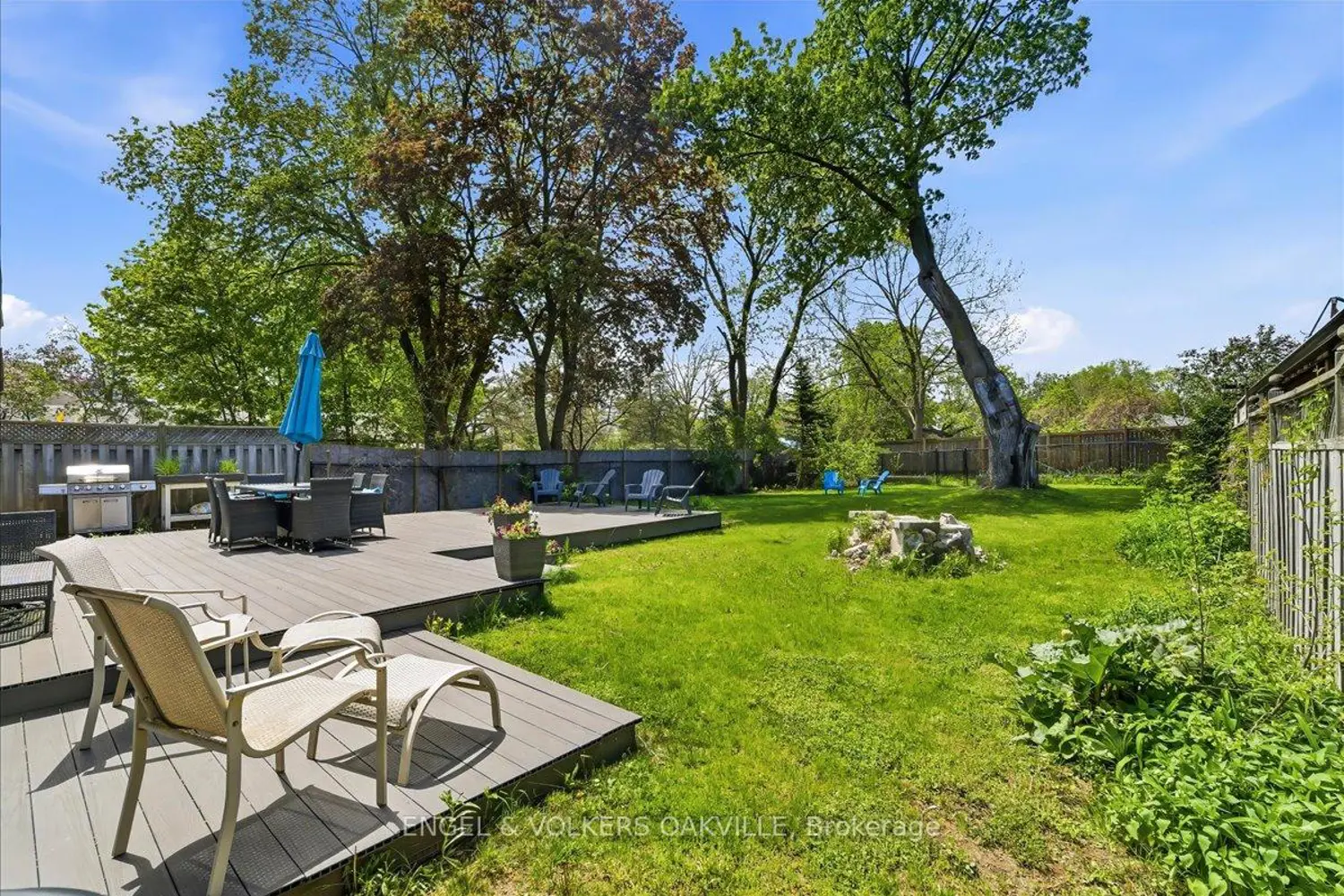 22 Falaise Road photo 5
