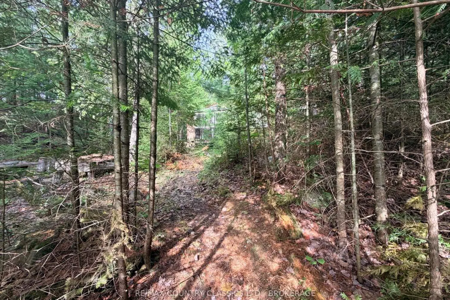 860 Mazinaw Lake photo 3