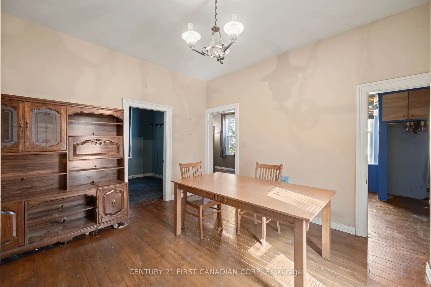 973 Dame Street photo 5