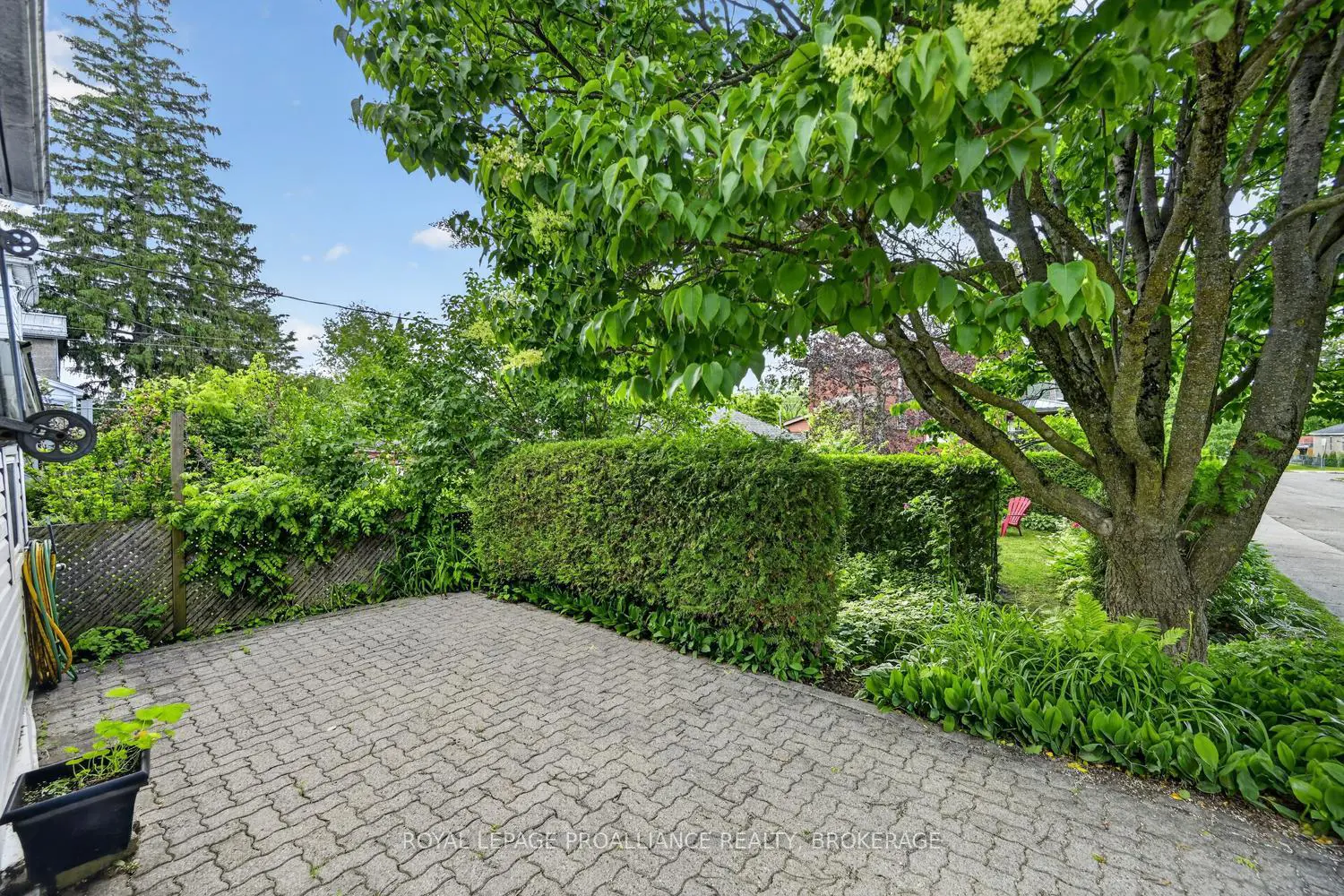 164 Pearl Street photo 5