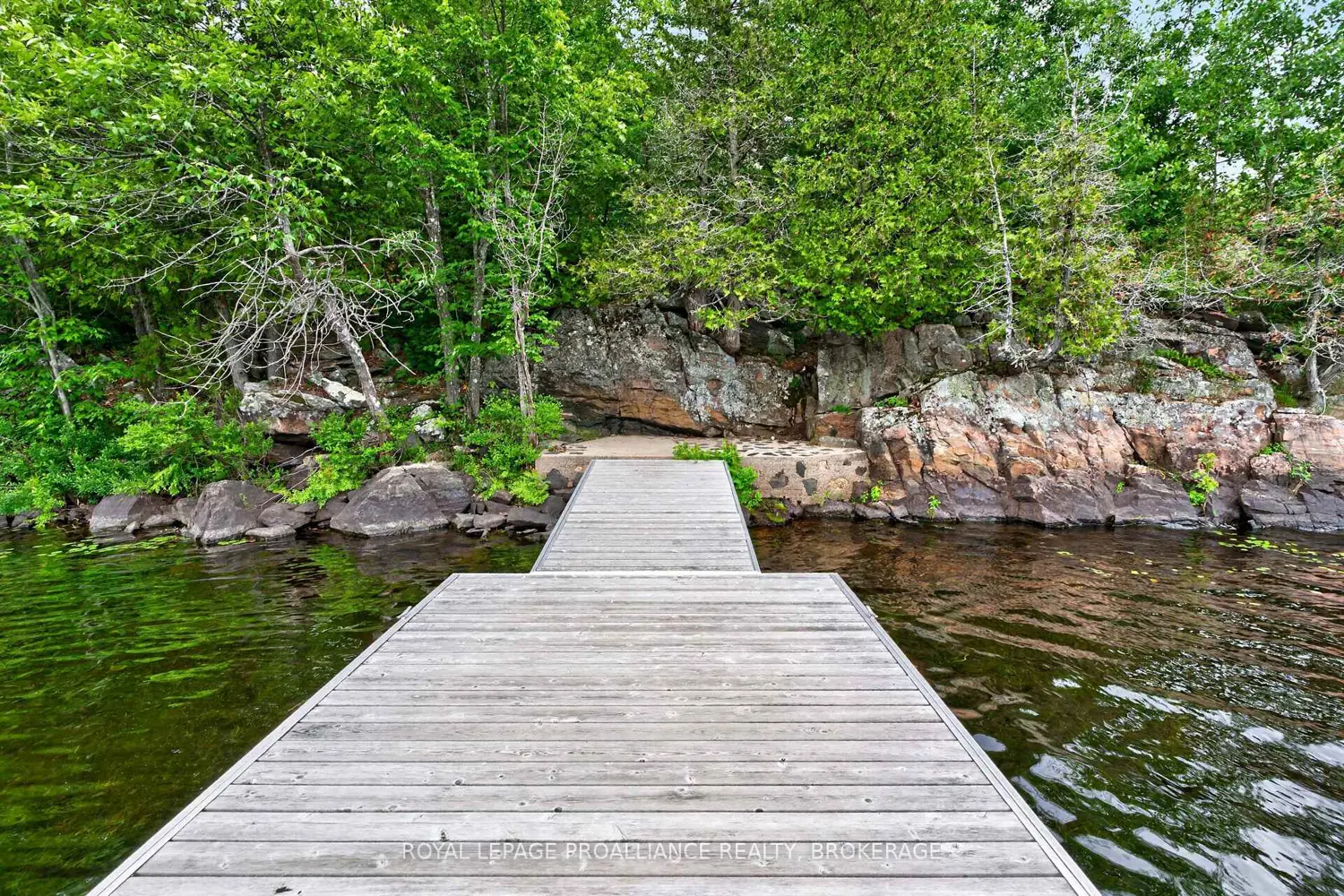 488 Gull Creek Lane photo 4