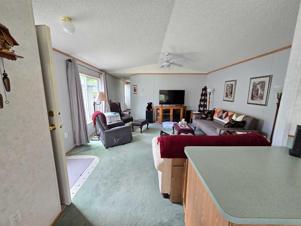 40 Mobile Drive, Three Hills, AB, T0M2A0 photo 4