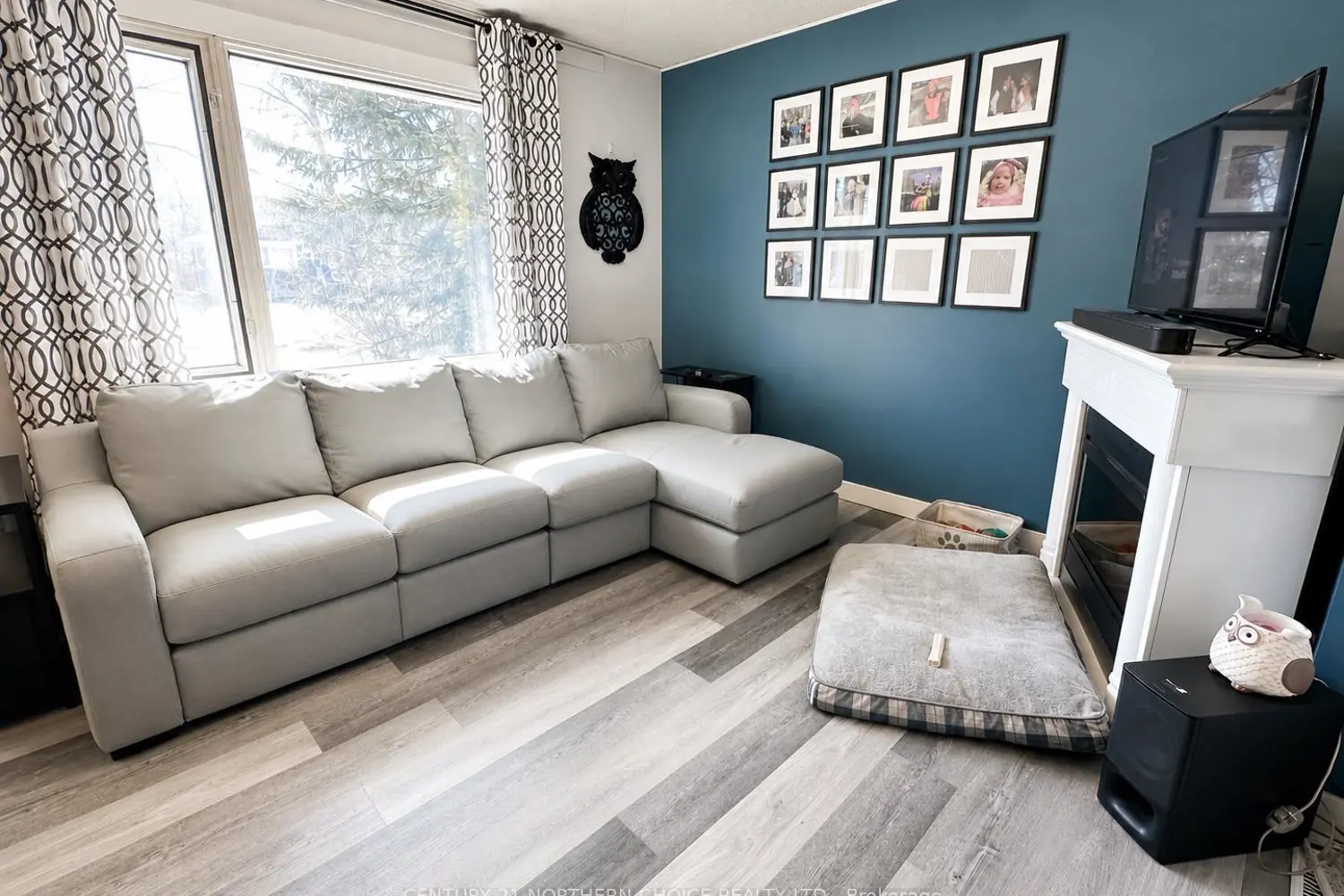 55 Dickenson Road photo 3