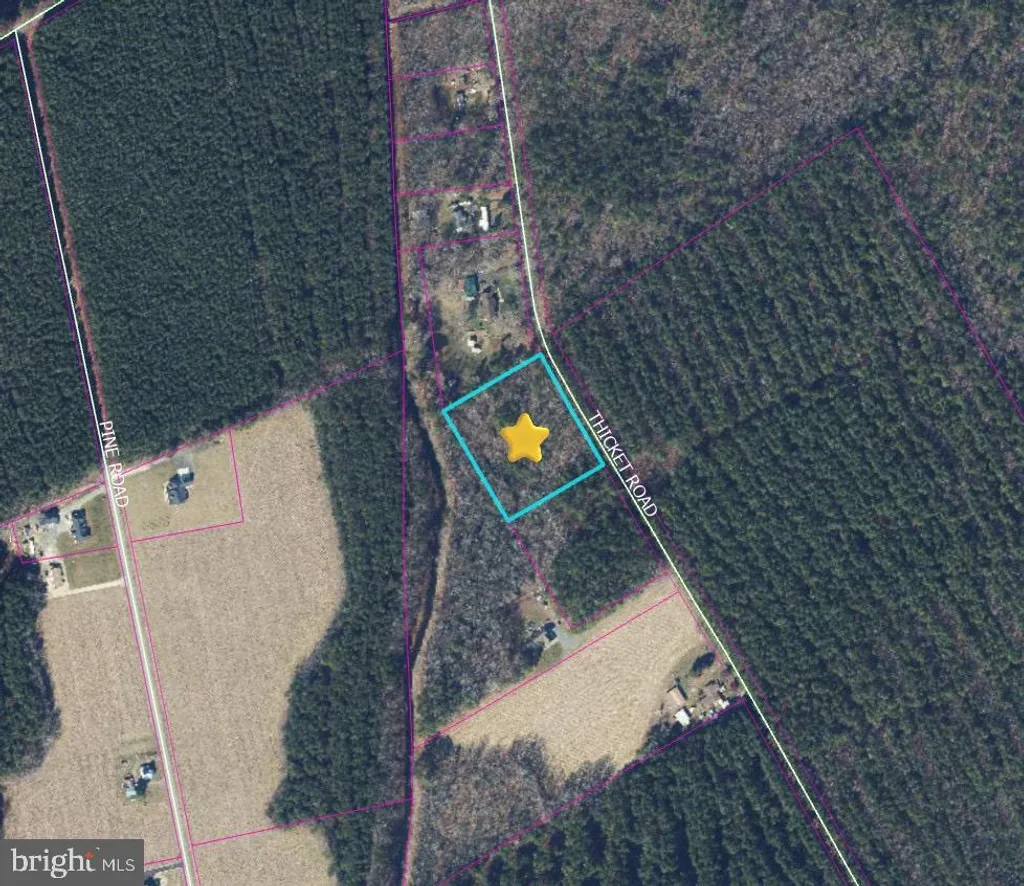 Thicket Rd, Milton, DE 19968 photo 2